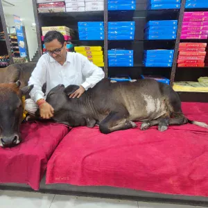 व्यापार के साथ संस्कार: रायपुर में खुलेगा 'जैविक कृषि प्रशिक्षण केंद्र'